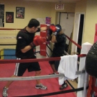 Boxing confrontation