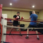A sparring pair