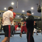 Boxing effectivity