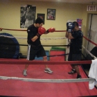 Boxing partnership